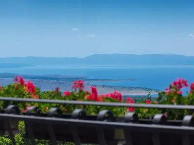 view-from-room