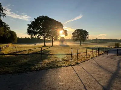 Aussicht vom Ferienhaus [Sommer]