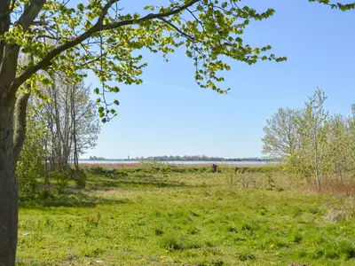 outside