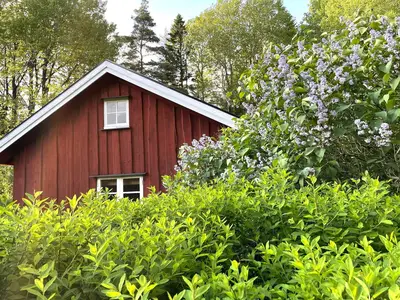 Outdoor