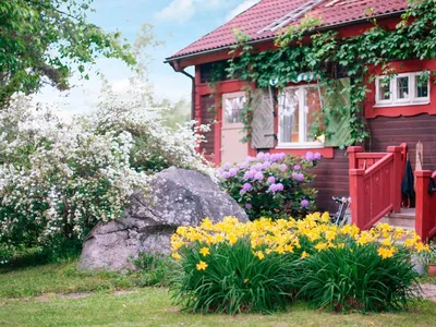 Outdoor