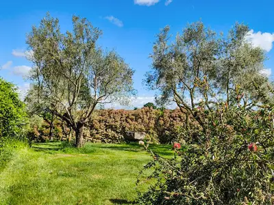outside