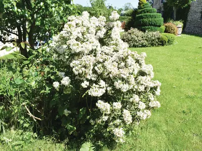outside