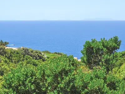 view-from-room