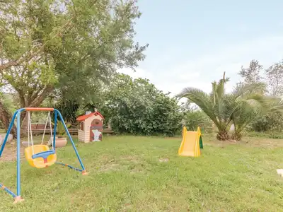 activities
