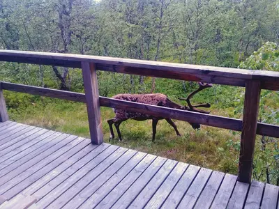 view-from-room