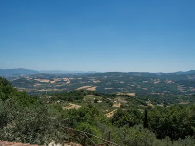 view-from-room