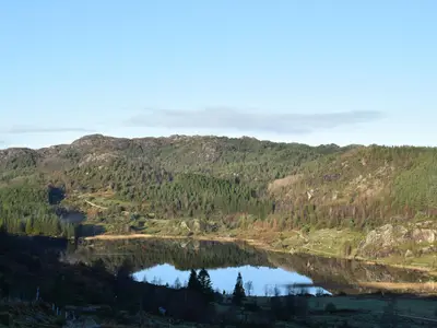 view-from-room