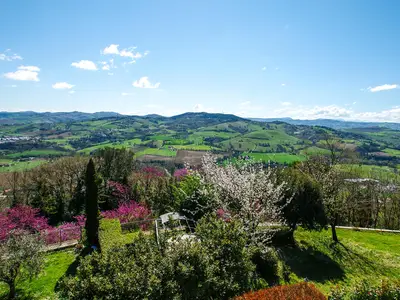 view-from-room