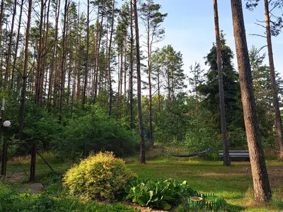 outside