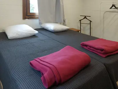 bed