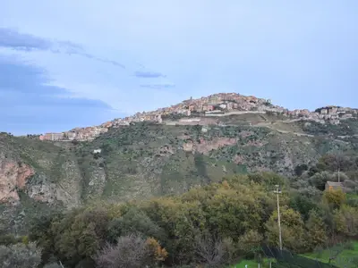 view-from-room