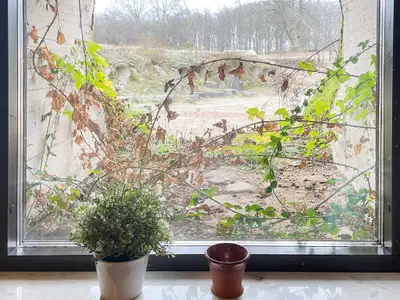 Indoor