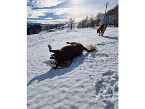 Ferienhaus für 4 Personen (70 m²) in St. Peter