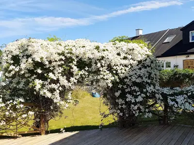 Outdoor