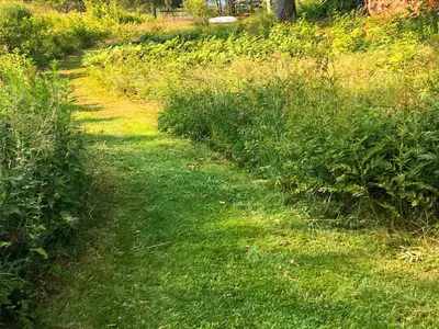 Outdoor