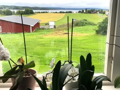 WaterView