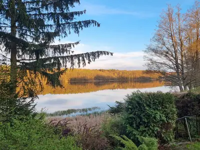 view-from-room