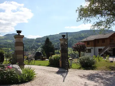 GardenSummer