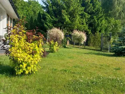 ExteriorSummer