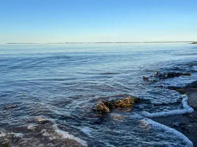 WaterView