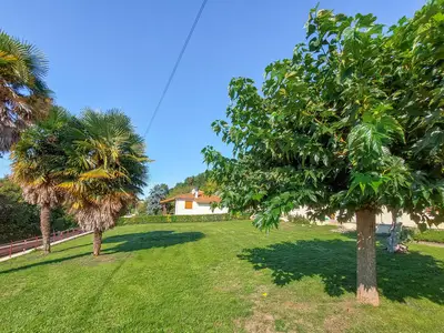 outside