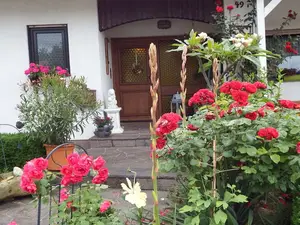 Ferienhaus für 3 Personen (55 m²) in Neustadt an der Weinstrasse