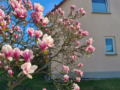 Ferienhaus für 4 Personen (95 m²) in Stromberg 6/10