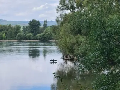 Ferienhaus für 4 Personen (95 m²) in Stromberg 10/10