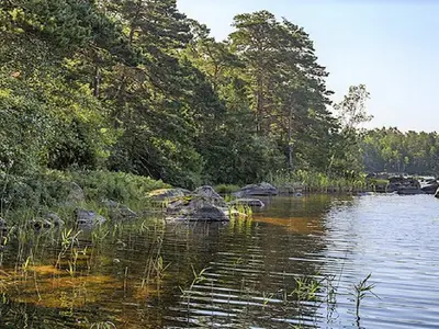 WaterView