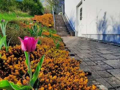 Ferienhaus für 4 Personen (58 m²) in Losheim Am See 3/10