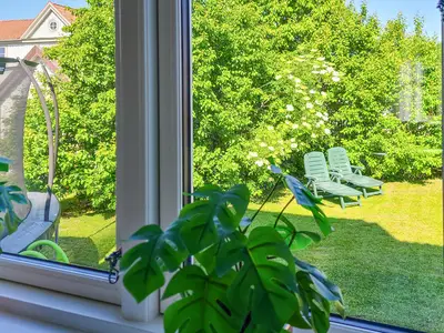 view-from-room