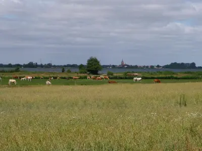 Umgebung mit Blick auf den Usedomer See und Stadt Usedom