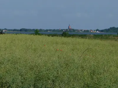 Umgebung mit Blick auf den Usedomer See und Stadt Usedom