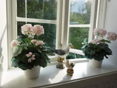 Indoor