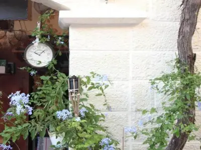 GardenSummer