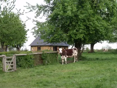 Bild 9
