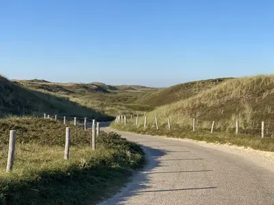 AreaSummer5KM