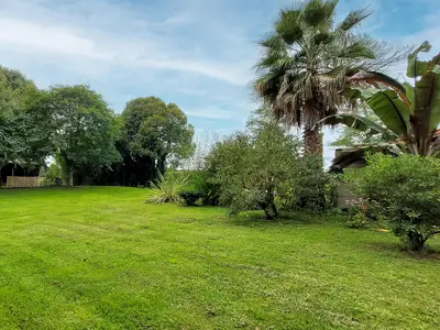 outside