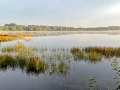 WaterView