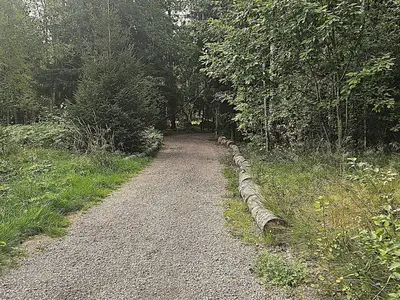 Outdoor