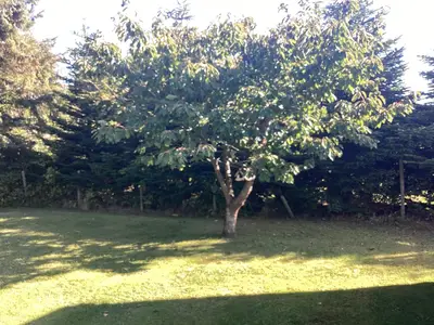 Outdoor