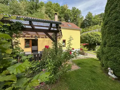 Garten [Sommer]