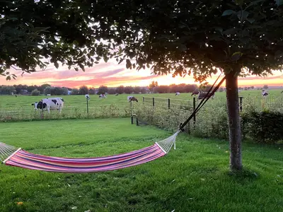 ExteriorSummer