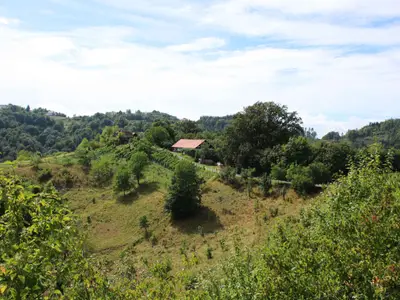 Ferienhaus für 5 Personen (75 m²) in Zgornji Leskovec 4/10