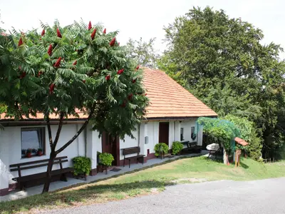 Ferienhaus für 5 Personen (75 m²) in Zgornji Leskovec 5/10
