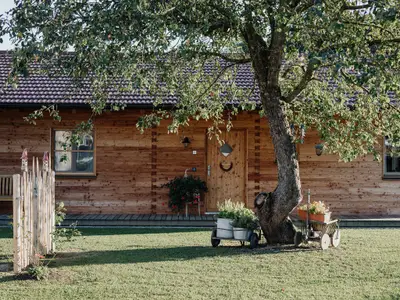 Ferienhaus für 6 Personen in Bayerbach 2/10