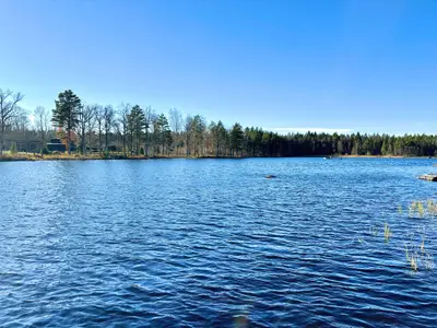 Landschaft