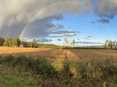 Ferienhaus für 4 Personen (54 m²) in Hammarstrand 9/10