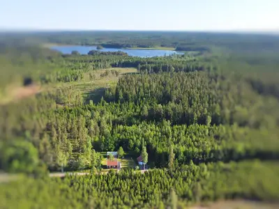 Vogelperspektive